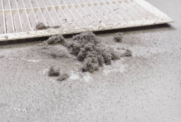 Best Air Duct Cleaning Near Me  in Harker Heights, TX